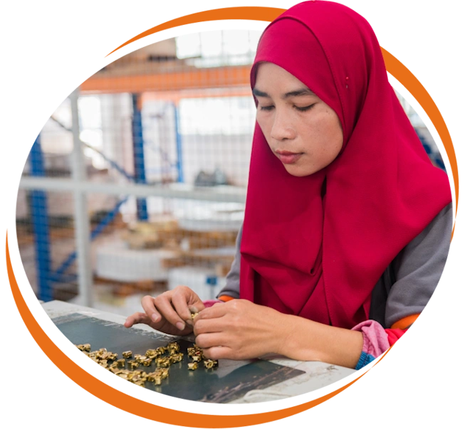 The Principal Activities of Daepac